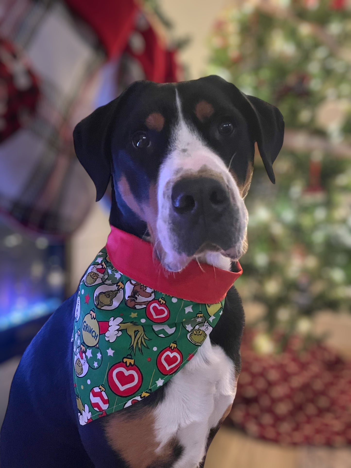 Green and Red Grinch Snap On Bandana