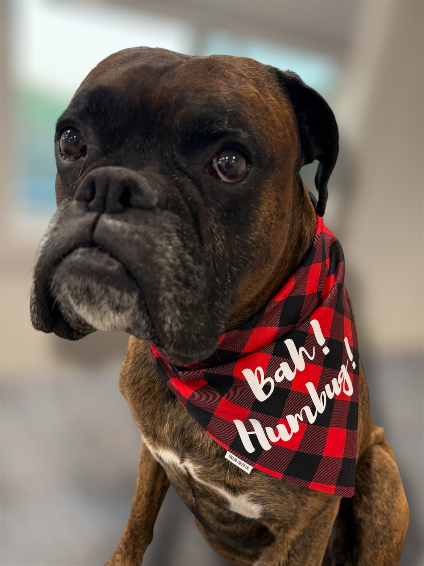 Bah Hum Bug Snap On Bandana