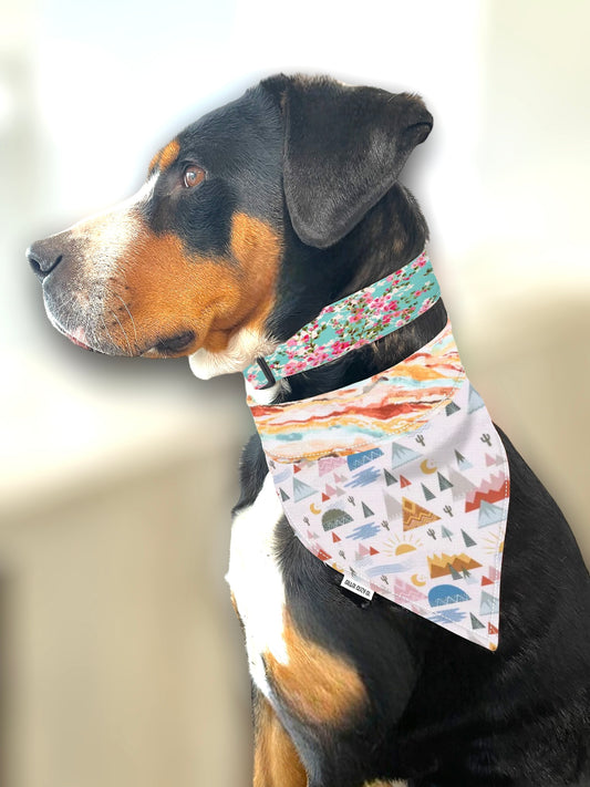 Cherry Blossoms Dog Collar - Martingale or Buckle Style - Embroidery Available