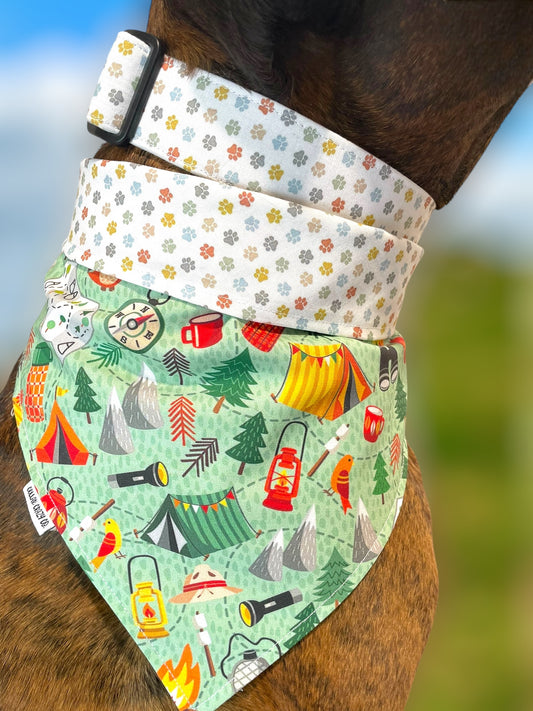 Happy Tails Paws Dog Collar - Martingale or Buckle Style - Embroidery Available
