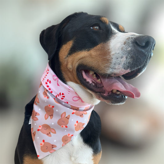 Pink Bows Reindeer Snap On Bandana