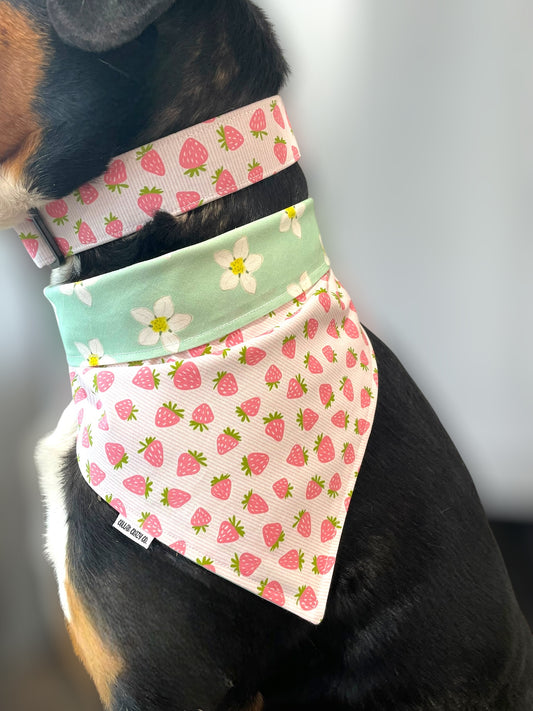 Strawberry Dog Collar - Martingale or Buckle Style - Embroidery Available