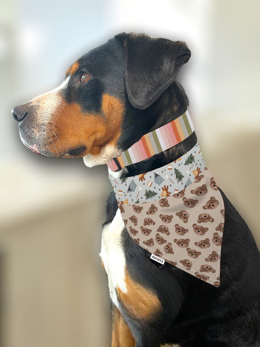 Summer Stripes Dog Collar - Martingale or Buckle Style - Embroidery Available