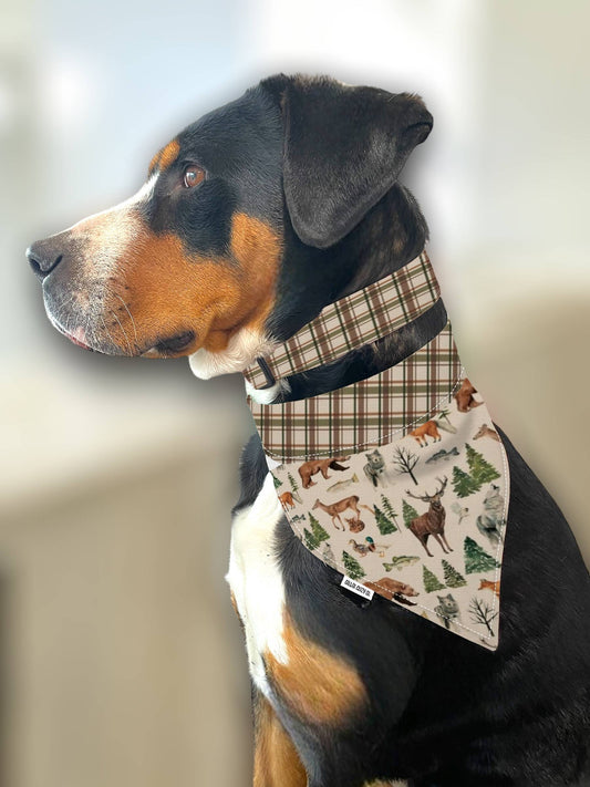Forest Plaid Dog Collar - Martingale or Buckle Style - Embroidery Available