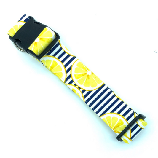 Lemon Stripes Dog Collar - Martingale or Buckle Style - Embroidery Available