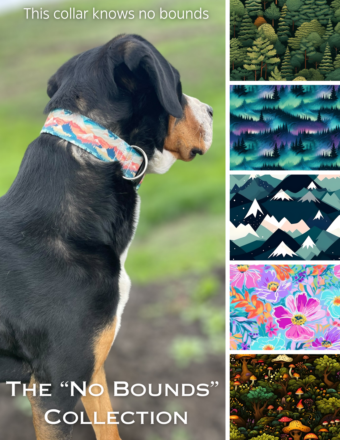 Handcrafted Pet Accessories Personalized Dog Collars Collar Crazy Co.