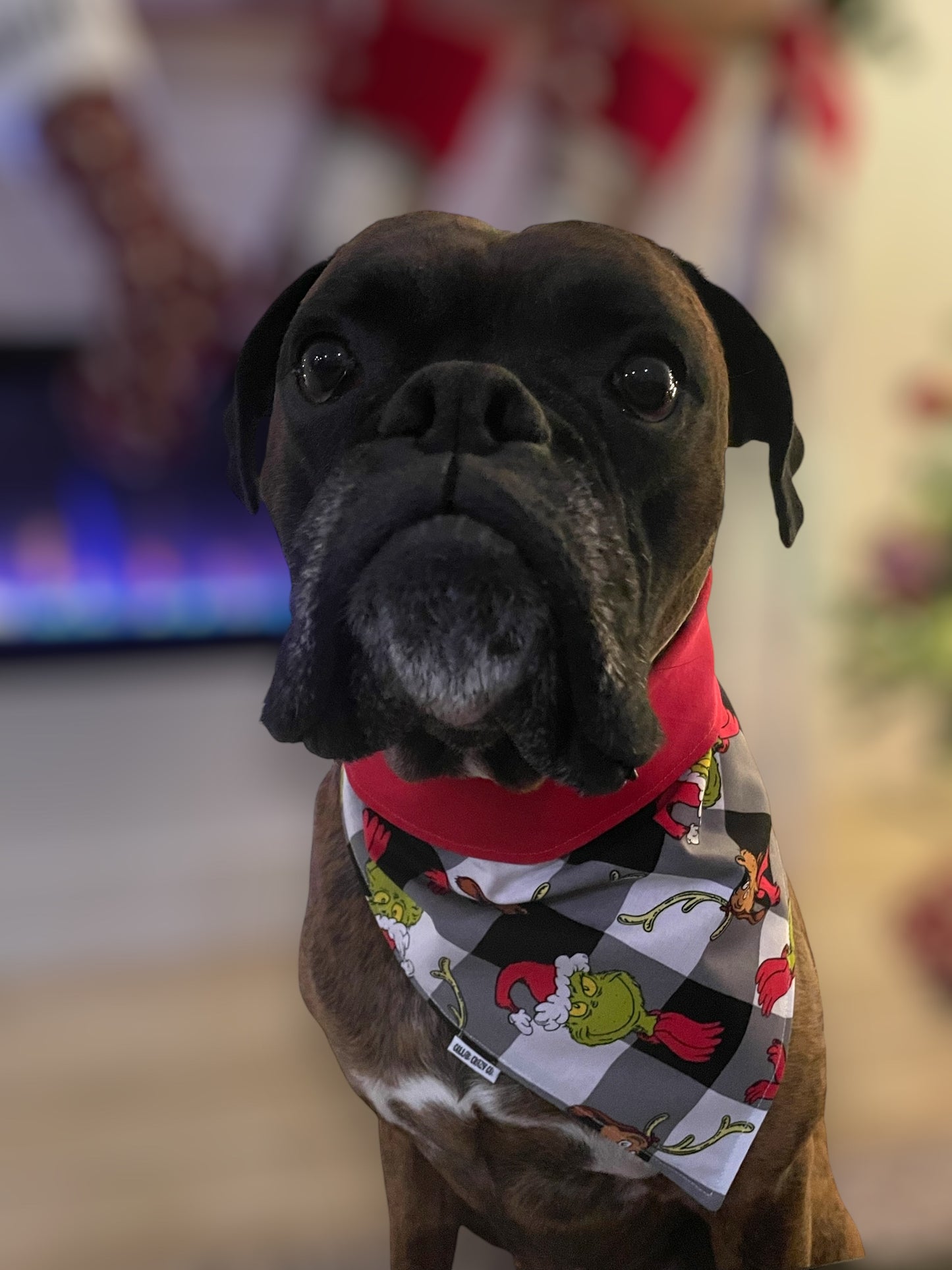 Plaid Grinch Snap On Bandana