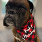Bah Hum Bug Snap On Bandana