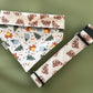 The Teddy Dog Collar - Martingale or Buckle Style - Embroidery Available