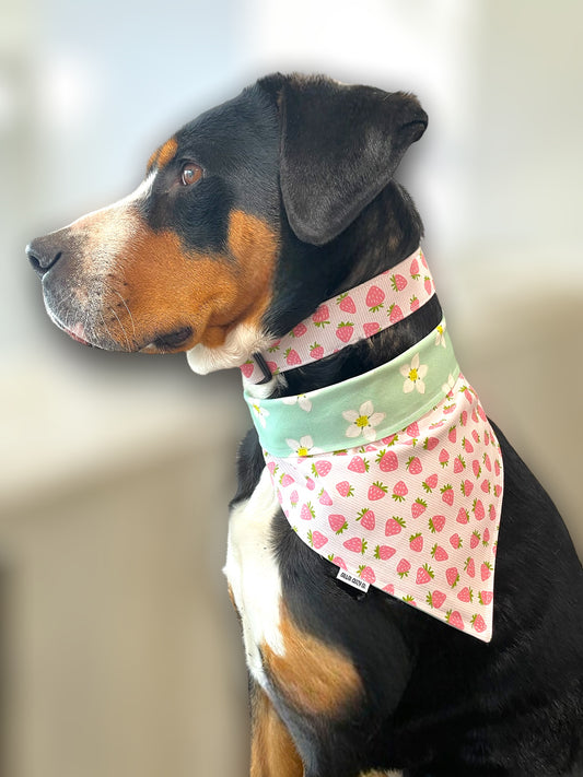 Strawberry Flowers Reversible Snap On Bandana