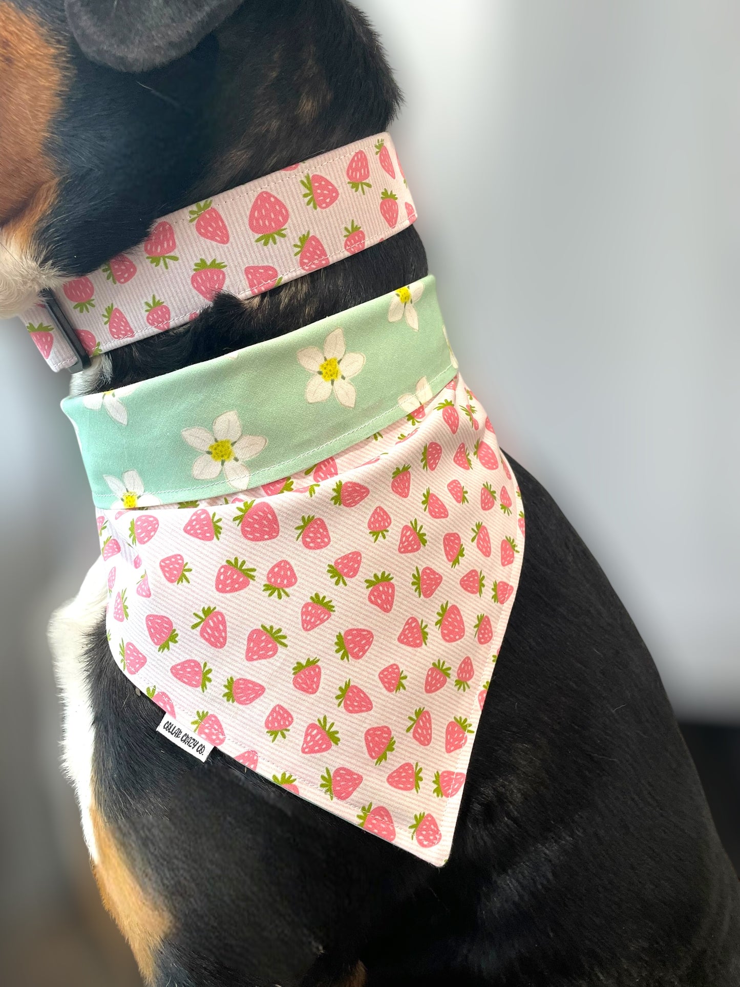 Strawberry Flowers Reversible Snap On Bandana