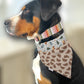 Summer Stripes Dog Collar - Martingale or Buckle Style - Embroidery Available