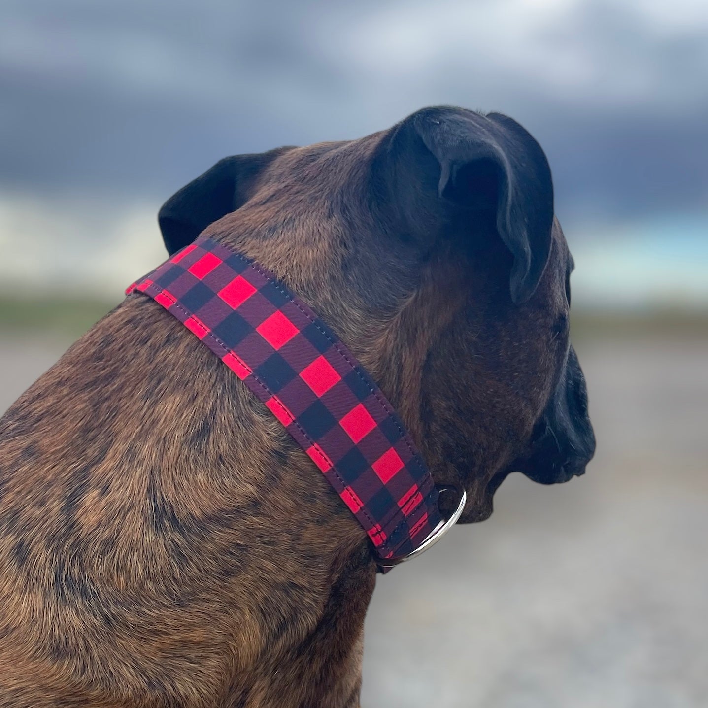 Buffalo Plaid - The "No Bounds Collection" - Water Resistant - Water Wicking Collars