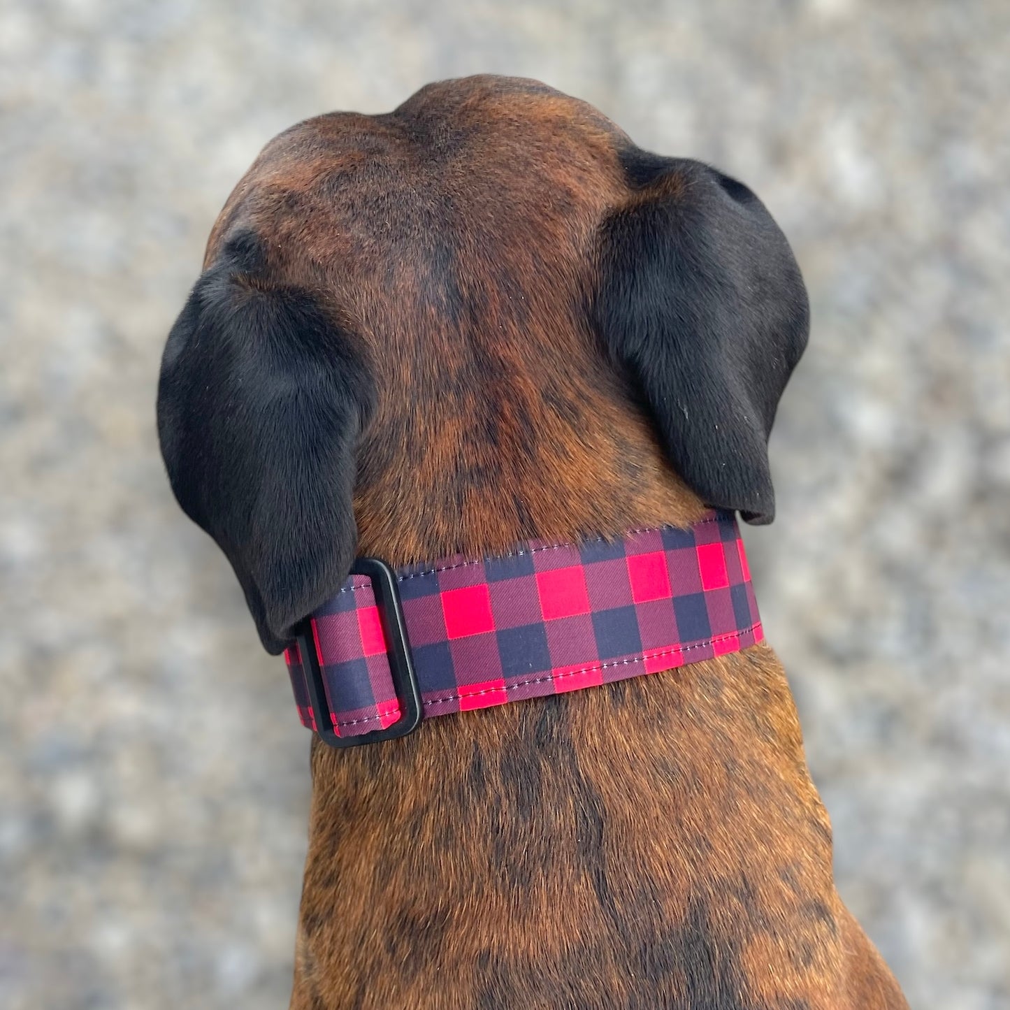 Buffalo Plaid - The "No Bounds Collection" - Water Resistant - Water Wicking Collars