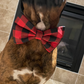 Large Check Buffalo Plaid Bow
