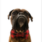 Large Check Buffalo Plaid Bow
