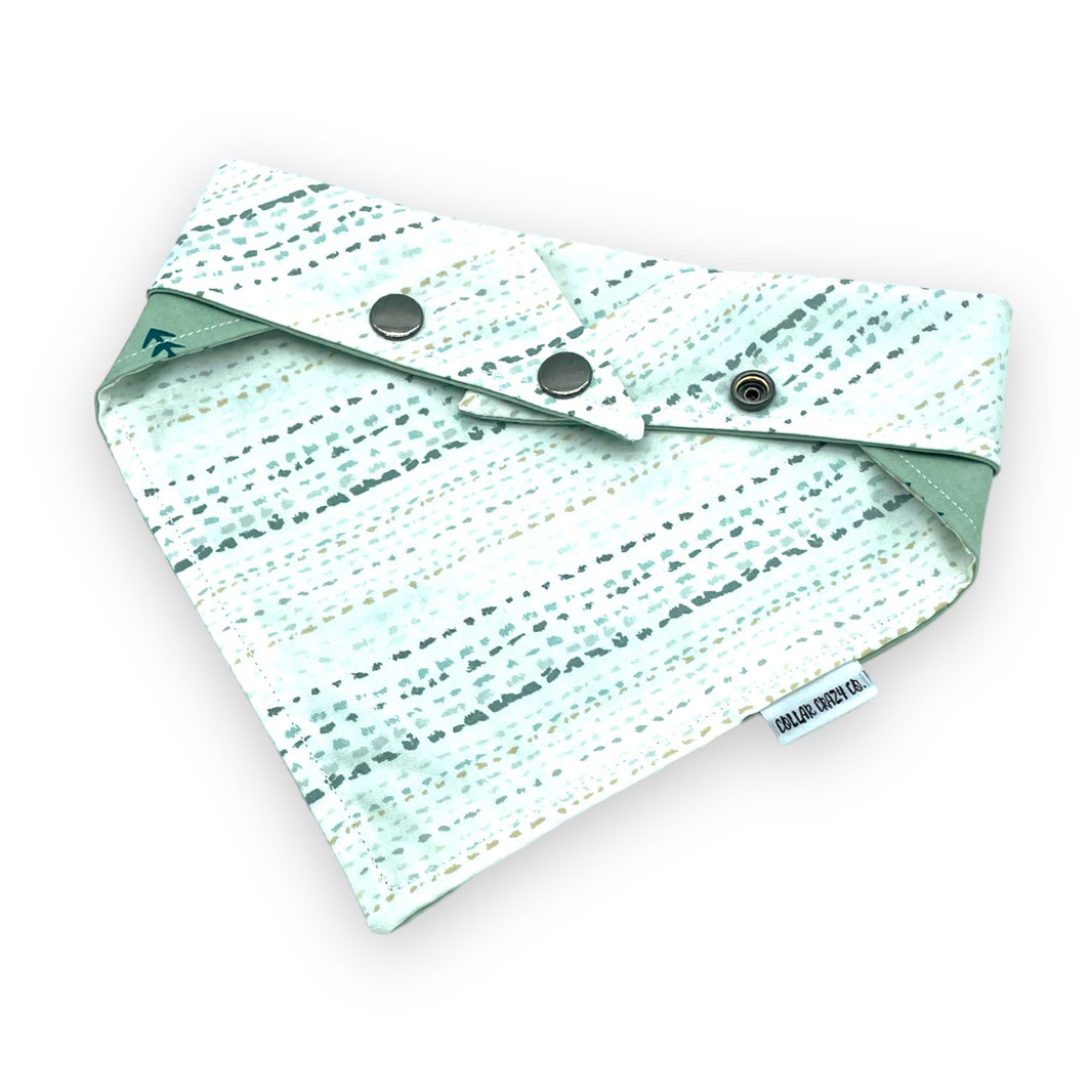 Handcrafted Pet Accessories Personalized Dog Collars Collar Crazy Co.