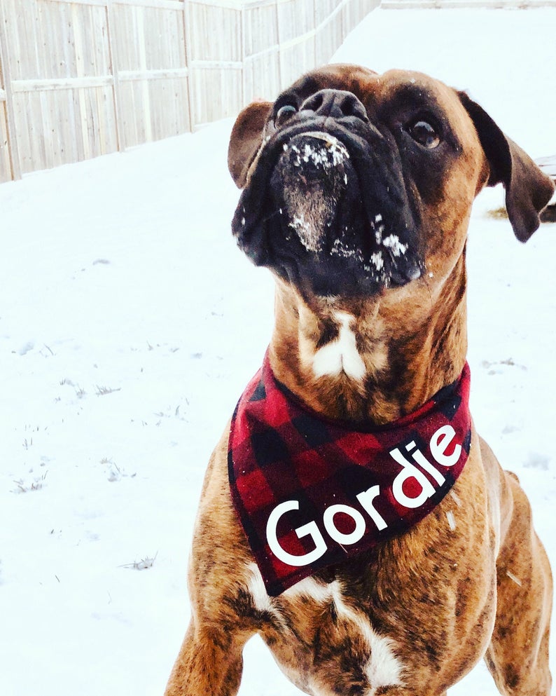 This is my Christmas bandana Reversible Snap On Bandana