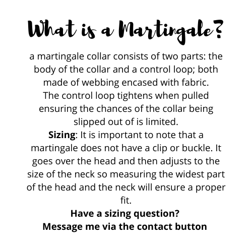Light Green Daisy Dog Collar - Martingale or Buckle Style - Embroidery Available