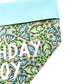 Blue & Green Dinosaur Birthday Boy Bandana